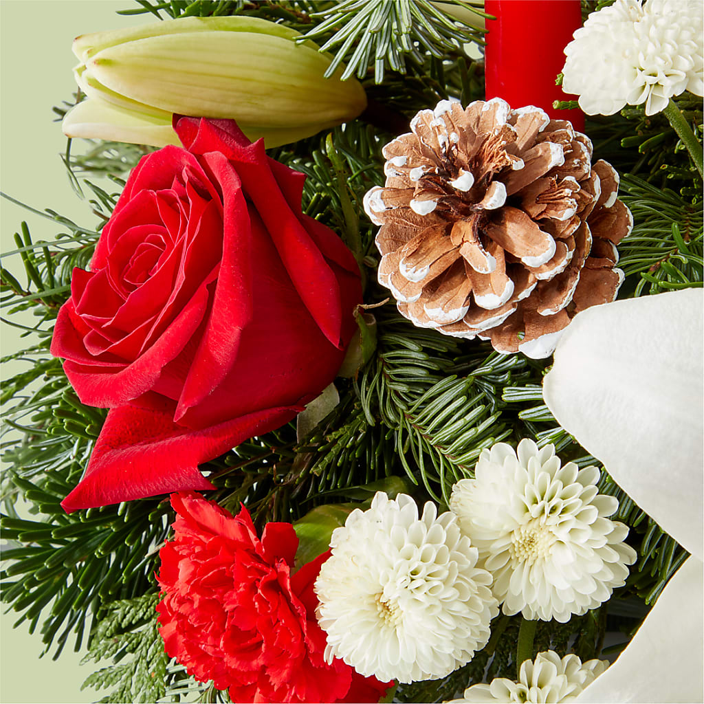 Seasonal Festivities Centerpiece –  Grimm-kruse-brix Florist Inc, Saint Louis MO