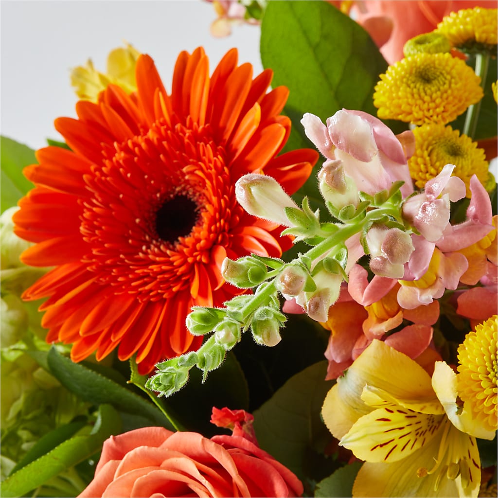 Autumn Sunshine Bouquet –  Grimm-kruse-brix Florist Inc, Saint Louis MO