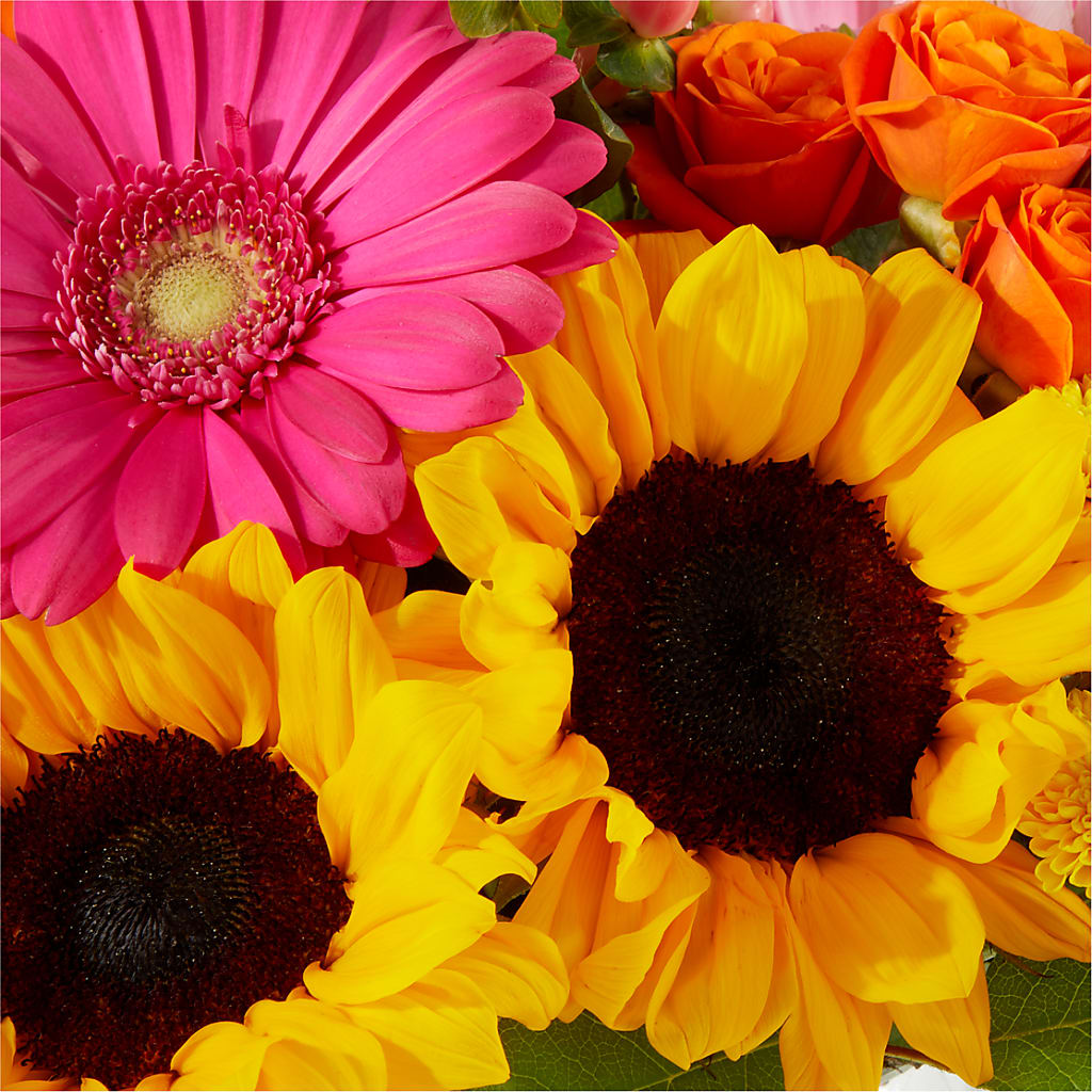 Beach Day Bouquet –  Grimm-kruse-brix Florist Inc, Saint Louis MO