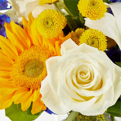 Stargazing Bouquet –  Grimm-kruse-brix Florist Inc, Saint Louis MO