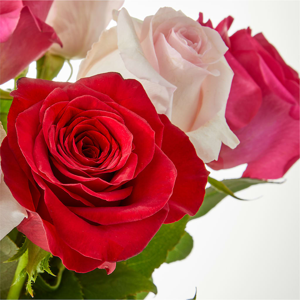 Charming Rose Bouquet –  Grimm-kruse-brix Florist Inc, Saint Louis MO