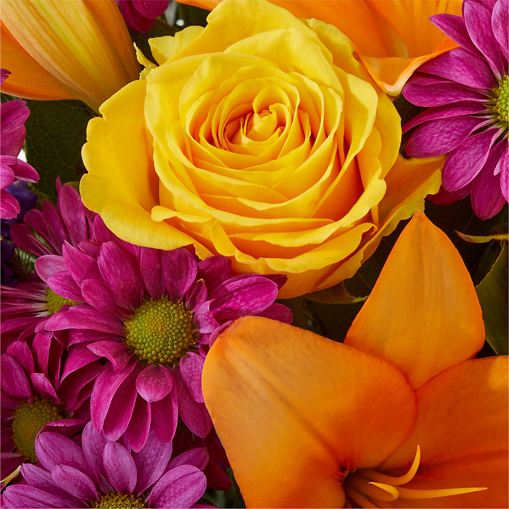Colorful Visions Bouquet –  Grimm-kruse-brix Florist Inc, Saint Louis MO