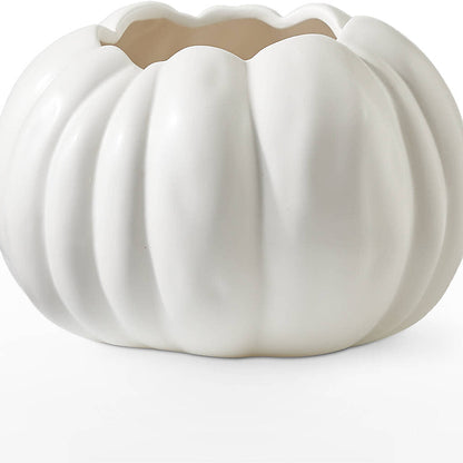 Autumn Air Pumpkin Bouquet –  Grimm-kruse-brix Florist Inc, Saint Louis MO